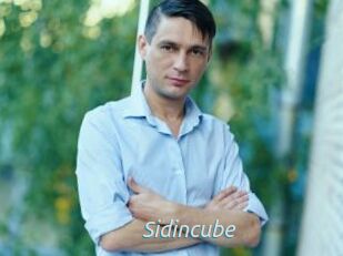 Sid_incube