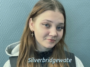 Silverbridgewate