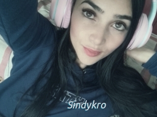 Sindykro