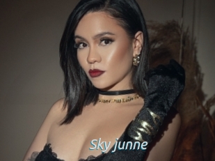 Sky_junne