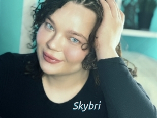Skybri