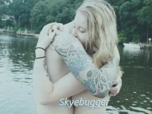 Skyebugger