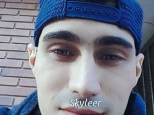 Skyleer