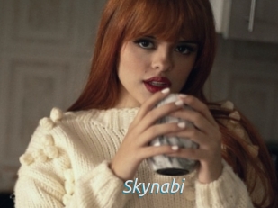 Skynabi