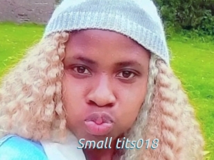Small_tits018