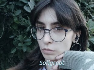 Sofigroot