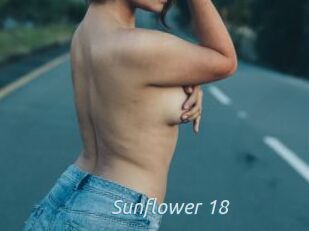 Sunflower_18