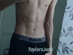 TaylorsJunk