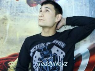 TeddyNoyz