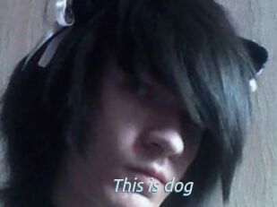 This_is_dog
