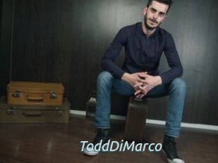 ToddDiMarco