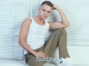 ToddYorkX