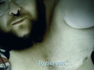 Toyservent