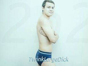 TwinkLargeDick