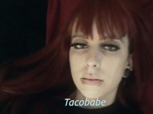 Tacobabe