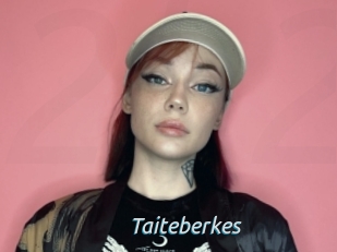 Taiteberkes