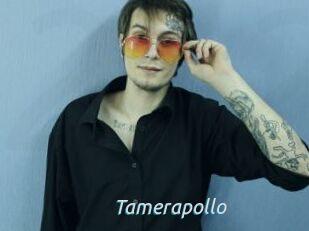 Tamerapollo