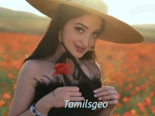 Tamilsgeo