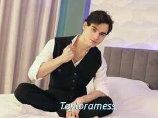Tayloramess