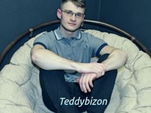 Teddybizon