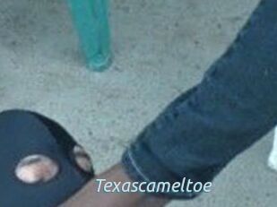 Texascameltoe