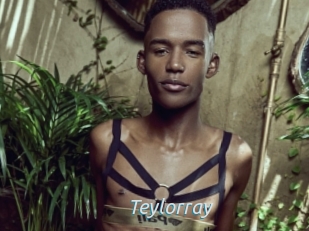 Teylorray
