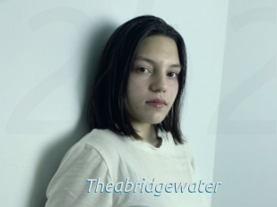 Theabridgewater