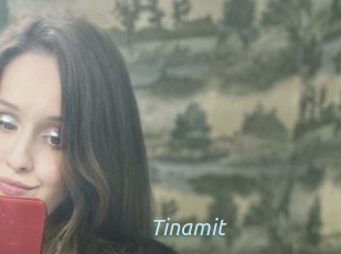 Tinamit