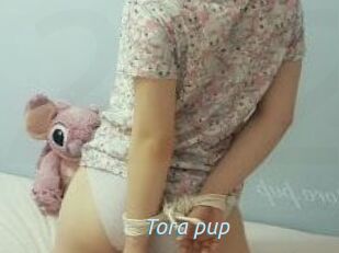 Tora_pup