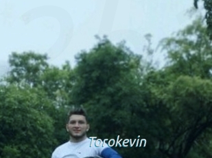 Torokevin