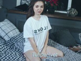 Tulipvelvet