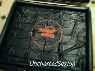 UnchartedSexion
