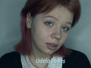Udelahakes