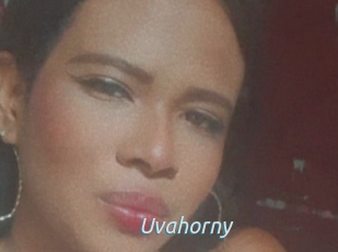 Uvahorny