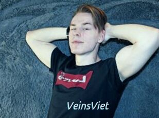 VeinsViet