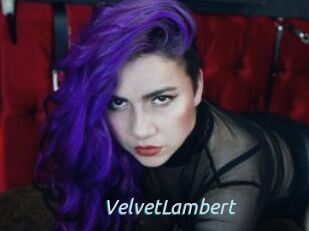 VelvetLambert