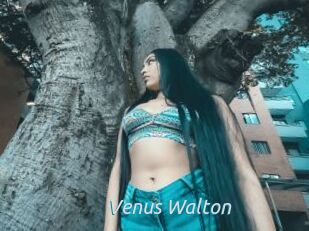 Venus_Walton