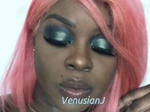 VenusianJ