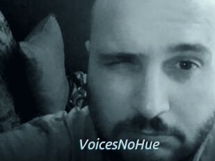 VoicesNoHue