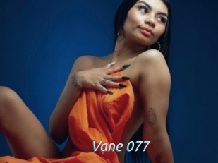 Vane_077