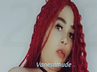 Vanesamude