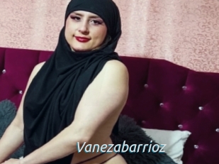 Vanezabarrioz