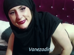 Vanezadina