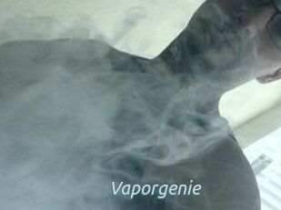 Vapor_genie