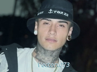 Vectorx073