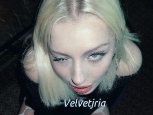 Velvetjria