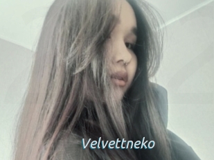 Velvettneko