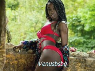 Venusbsbq