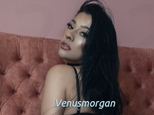 Venusmorgan