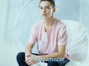 Viggomister